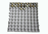 Disposable White Paper Molded Quail Egg Carton / Egg Tray with 90 Cavities