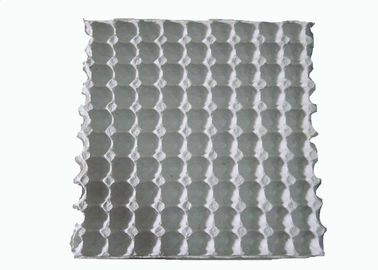 Pulp molding machine for Disposable White Paper Molded Quail Egg Carton / Egg Tray with 90 Cavities