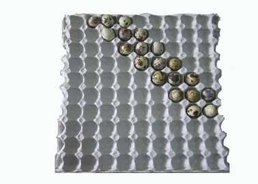 Pulp molding machine for Disposable White Paper Molded Quail Egg Carton / Egg Tray with 90 Cavities