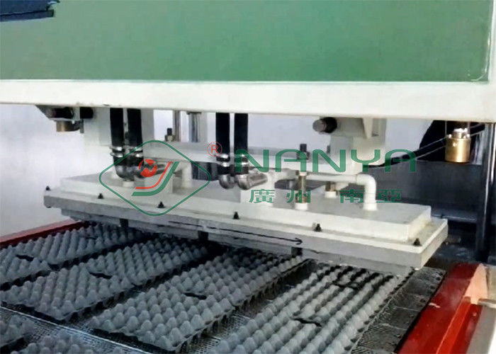 Pulp Molding Paper Egg Carton Machine , Automatic Egg Trays Production Line