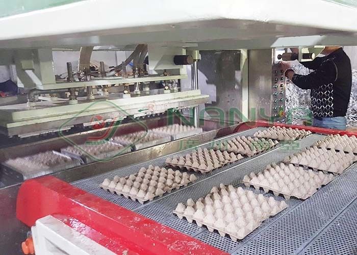 Pulp molding machine for Disposable White Paper Molded Quail Egg Carton / Egg Tray with 90 Cavities