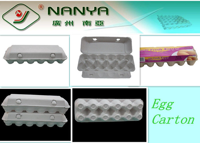Disposable Paper Molded Egg Carton / Egg Box / Egg Tray with 10 Cavities (not for sell)