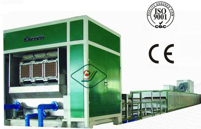 Automatic Computerized Rotary Forming Pulp Molding Equipment for Egg Carton