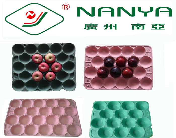 Degradable Rectangular Paper Pulp Moulded Products Fruit Tray with 20 Cavities