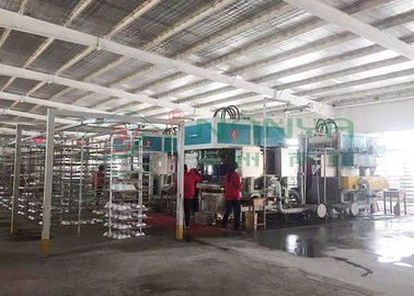 Molded Fiber Shock-Proof Package Production Line Pulp Tray Machine