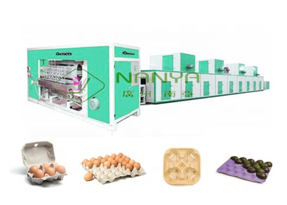 Raper Egg Carton 6000pcs/hour Rotary Molding Machine