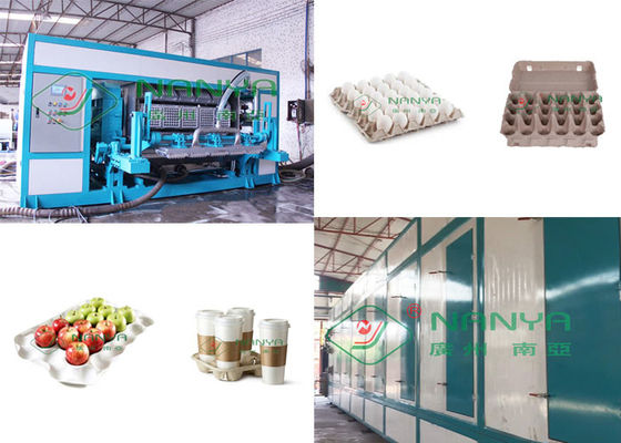 Pulp Molded 600m2 Paper Egg Tray Manufacturing Machine