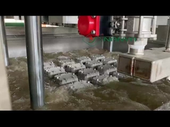 Pulp molding machine for High end prouducts