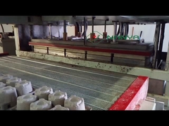 Recycle Paper Pulp Industrial Tray Machine with High Capacity