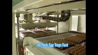 Small Automatic Pulp Molding Machine for Egg tray/ Small Egg Tray Machine/ 30packed Egg tray Machine