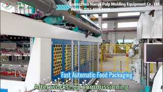 YC042 fully automatic food packaging machine