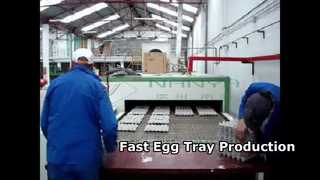 Fully Automatic Pulp Molding Machine for Egg Tray/ Egg Box/ Fruit Tray/ Medical products