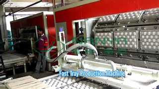 Automatic Pulp Molding Machine for Fruit tray/Egg tray/Egg box