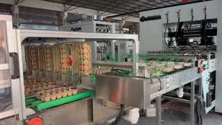 Fully Automatic Egg Carton Making machine/ Mass production Egg tray/ Carton Making amchine