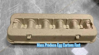 Fully Automatic Pulp Molding Machine for Egg Carton/ Egg Carton Machine Machine/ Pulp Egg Carton
