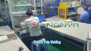 Pulp Molding Hot press Machine and Trimming Machine/ Hot Press Machine/ Trimming Machine